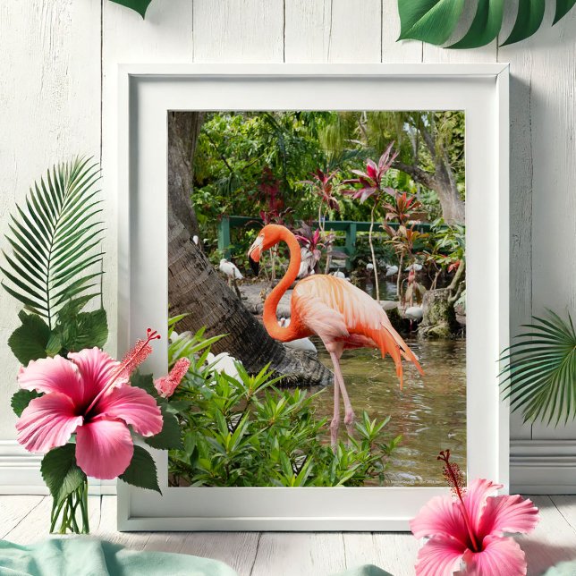 Florida Travel Photo Photography Posters (Tropical gifts pink flamingo photography by Victoria Grigaliunas Bonita Springs Wonder Gardens)