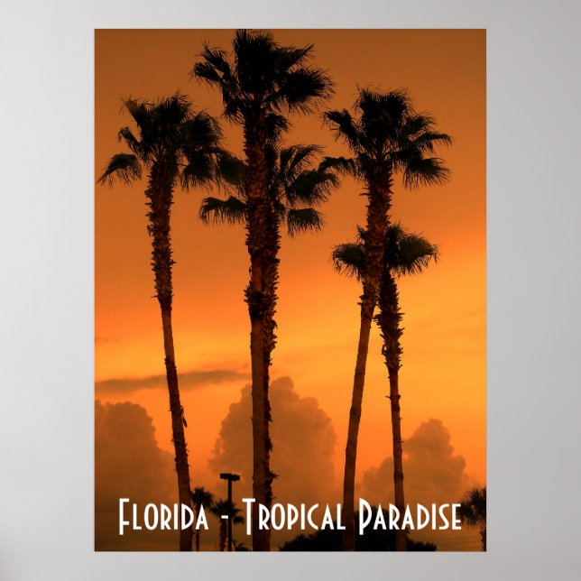 Florida Tropical Paradise Sunset Poster Photograph (Front)