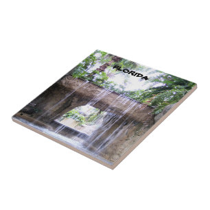 Florida Tropical Waterfall Garden Scene Tile