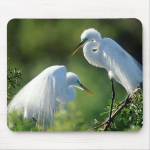 Florida, Venice, Audubon Sanctuary, Common Egret Mouse Mat