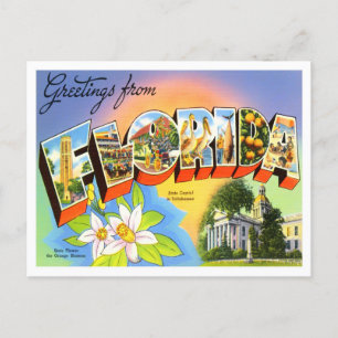 Florida Vintage Big Letters Postcard