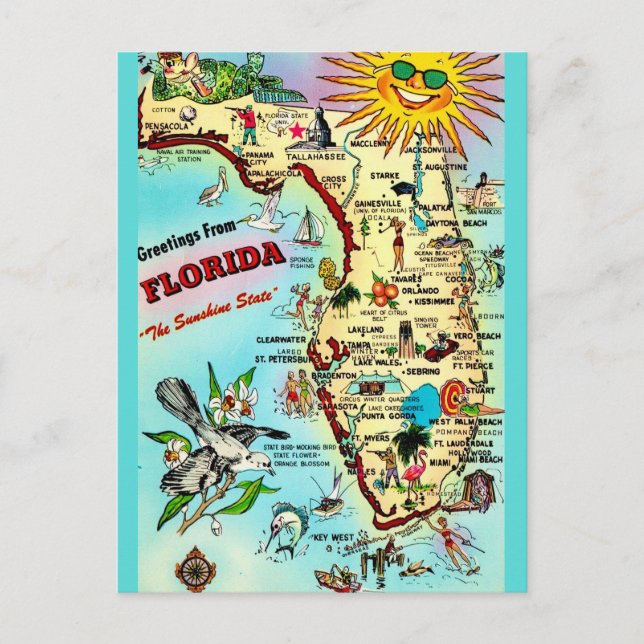 Florida Vintage Bordered  Postcard (Front)