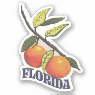 Florida Vintage Oranges