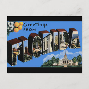 Florida Vintage Travel Postcard