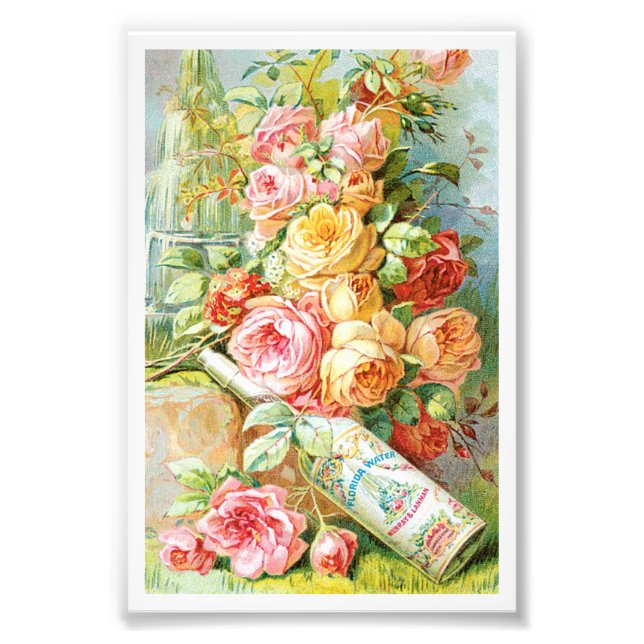 Florida Water Cologne with Cabbage Roses Photo Print (Front)