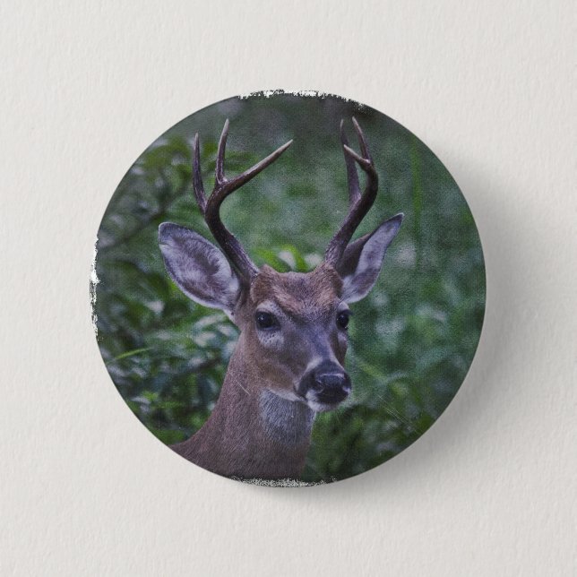 Florida Whitetailed Buck 6 Cm Round Badge (Front)
