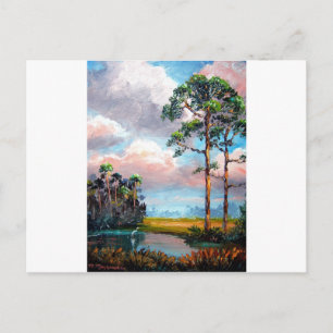 Florida Wilderness Postcard
