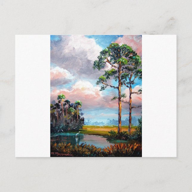 Florida Wilderness Postcard (Front)