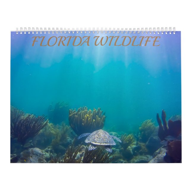 Florida Wildlife Calendar 2020 (Cover)