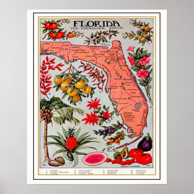 Florida's Bounty 16x20 Map Poster (Front)