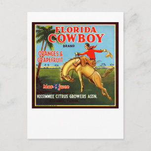 Floriday Cowboy Postcard