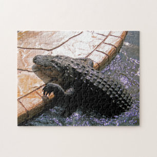 Floridian Alligator, Jigsaw Puzzle