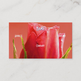 Florist - Pink Blue Rose Business Card