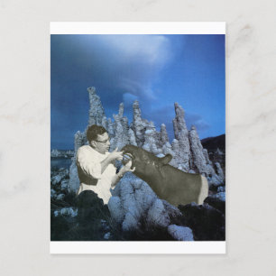 Floss every day - invitation postcard