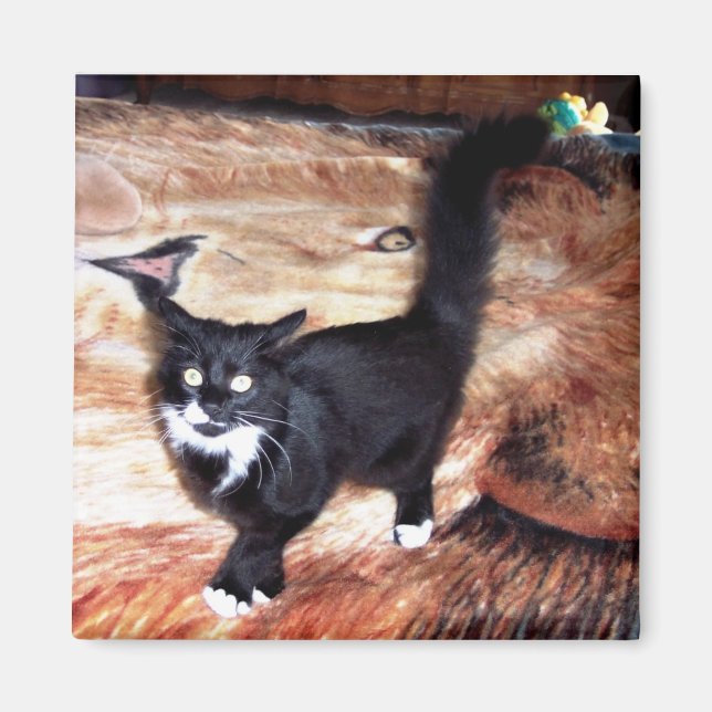 FLOSSIE MAGNET (Front)