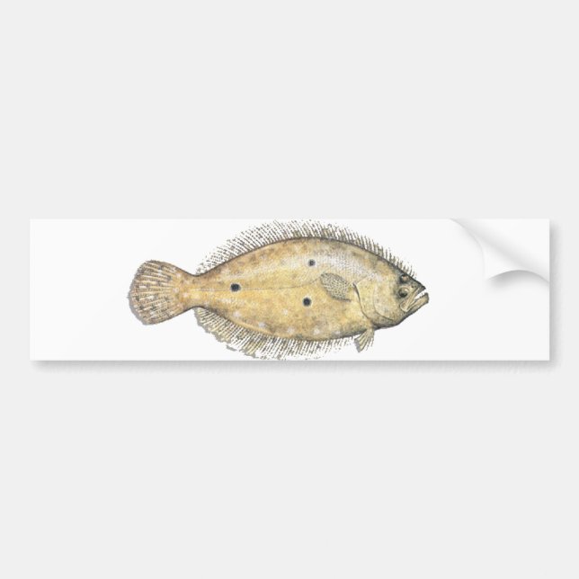 Flounder Bumper Sticker (Front)