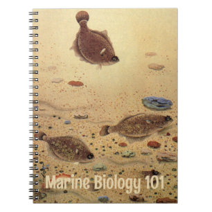 Flounders or Flat Fish, Vintage Marine Ocean Life Notebook