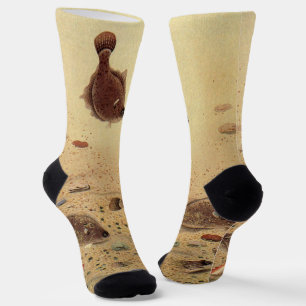 Flounders or Flat Fish, Vintage Marine Ocean Life  Socks