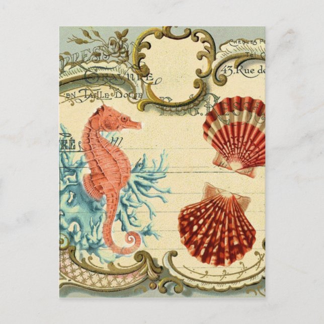 flourish french modern vintage seashell seahorse postcard (Front)
