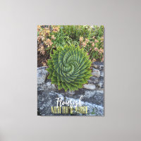 Flourish where you're planted spiral aloe granite