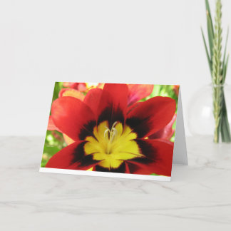 Flower1 Card