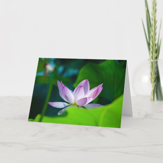 Flower #0417 card (Front)