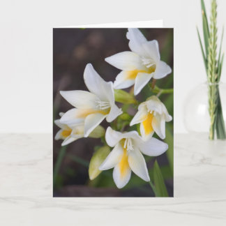 Flower #1668 card