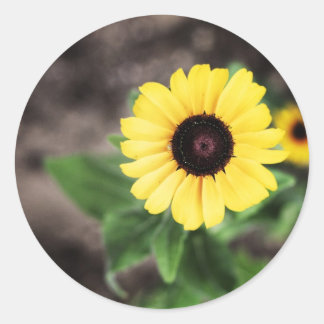 Flower 1 classic round sticker