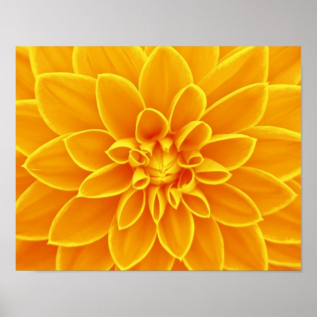 flower-663650 BRIGHT SUMMER ORANGE YELLOW FLOWERS Poster (Front)