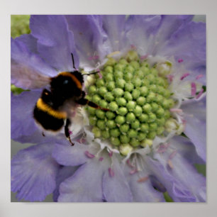 Flower #6 (detail) poster