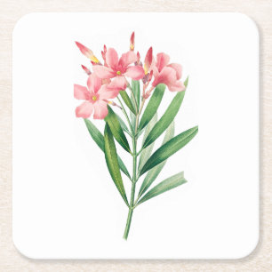 Flower: A005 Oleander - Square Paper Coaster