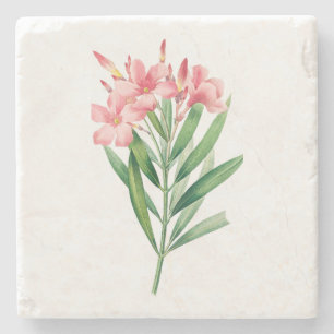Flower: A005 Oleander - Stone Coaster