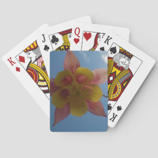 Flower Against Sky Cards