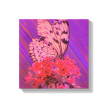 Flower and Butterfly in Pink and Purple
