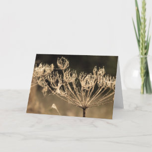 Flower and spiders web in sepia card
