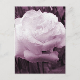 Flower Art Postcard