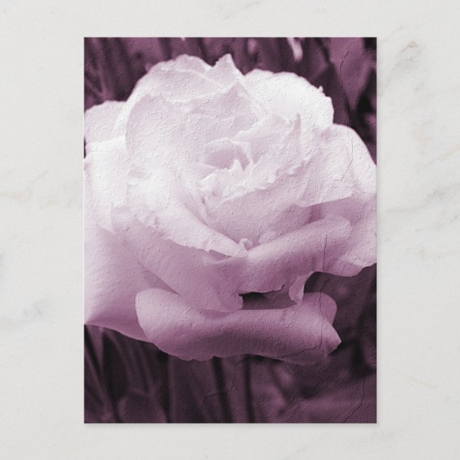 Flower Art Postcard (Front)