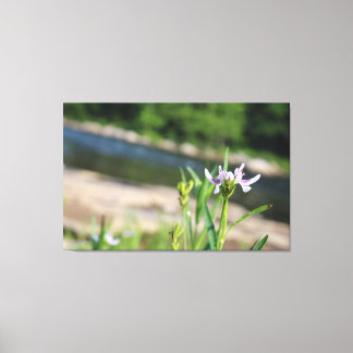Flower Backed by River Canvas Print
