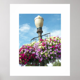 Flower Baskets Poster