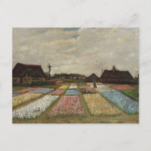 Flower Beds in Holland by Vincent Van Gogh Postcar Postcard