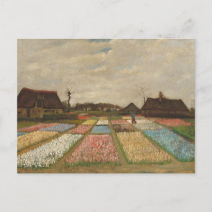 Flower Beds in Holland by Vincent Van Gogh Postcar Postcard