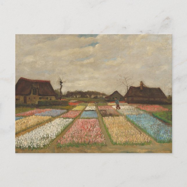 Flower Beds in Holland by Vincent Van Gogh Postcar Postcard (Front)