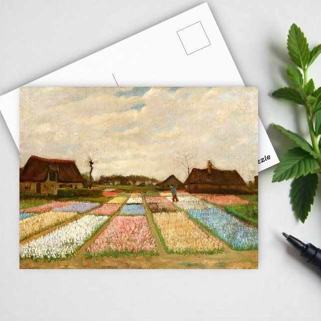 Flower Beds in Holland  by Vincent Van Gogh Postcard (Creator Uploaded)