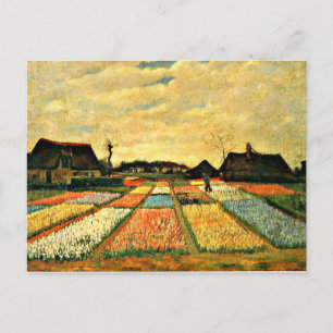 Flower Beds in Holland by Vincent van Gogh Postcard
