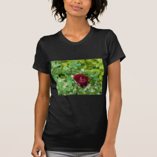 flower beds in spring T-Shirt