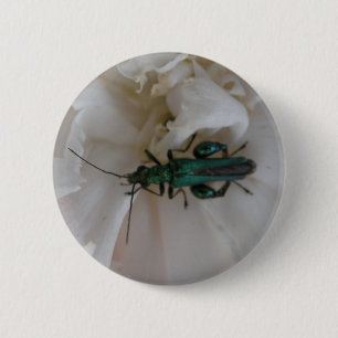 Flower Beetle Button
