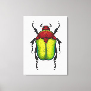 Flower beetle canvas print
