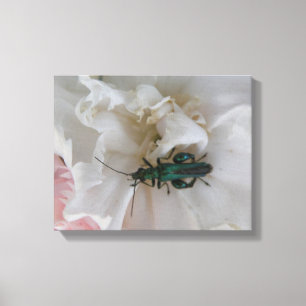 Flower Beetle Canvas Print