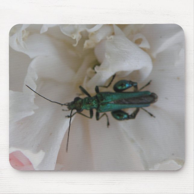 Flower Beetle Mousepad (Front)