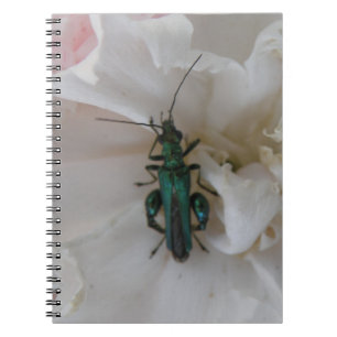 Flower Beetle Notebook